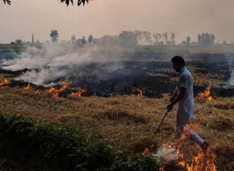 Supreme Court Acts on India Today Report Exposing Stubble Burning Loophole