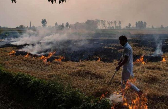 Supreme Court Acts on India Today Report Exposing Stubble Burning Loophole