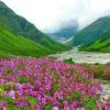 Valley of Flowers Closes for 2025 Season as Early Snowfall Impacts Tourism in Uttarakhand