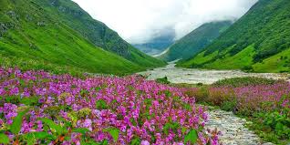 Valley of Flowers Closes for 2025 Season as Early Snowfall Impacts Tourism in Uttarakhand