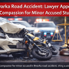 Dwarka Road Accident: Lawyer Appeals for Compassion for Minor Accused Student